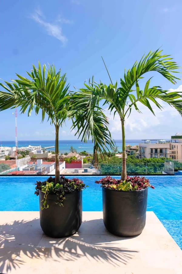 Stayon5A.Av.Penthouse With Privatepool Freeparking Playa del Carmen Kültér fotó